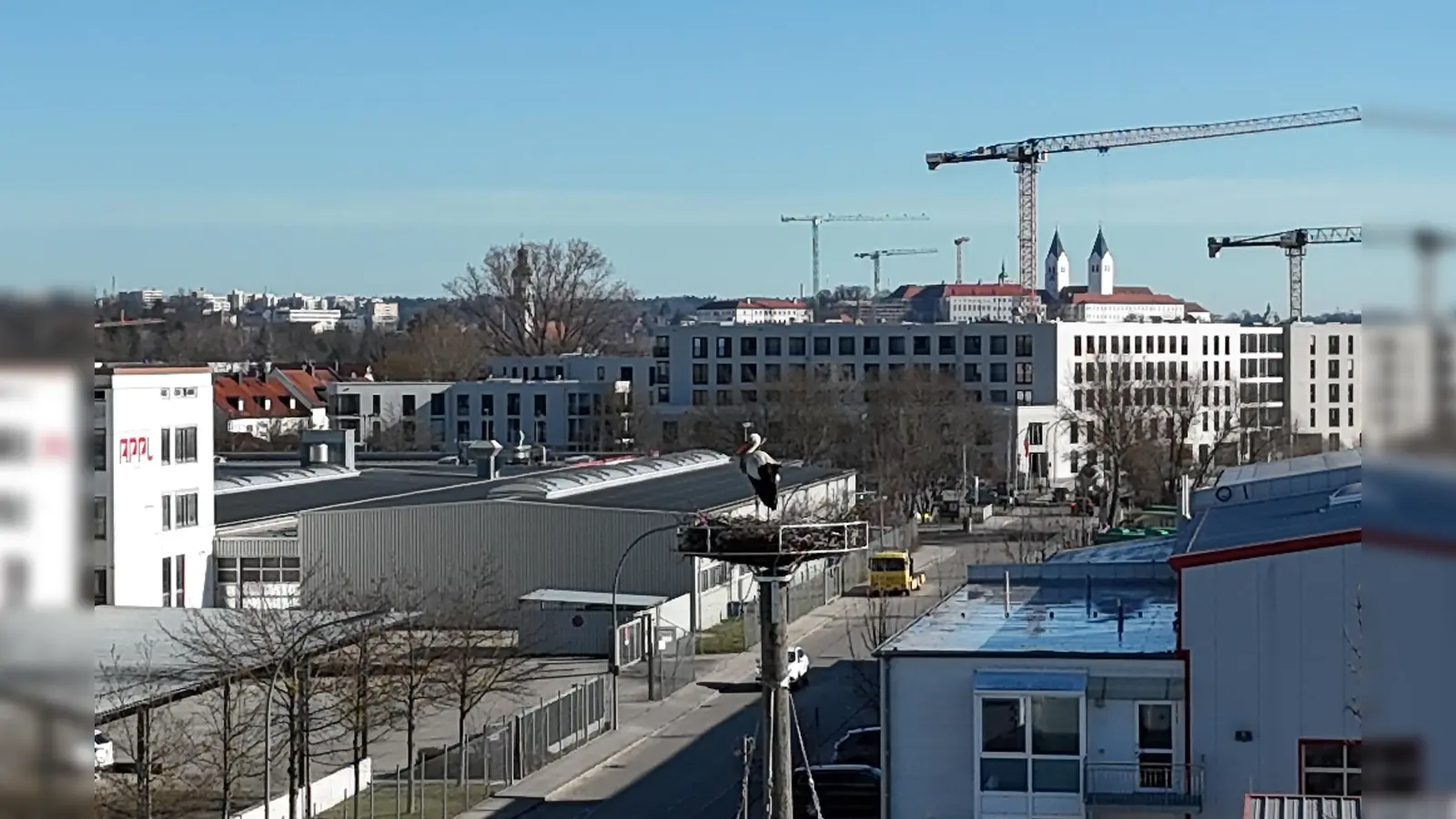 Das Storchenpaar hat sich im neuen Nest gut eingelebt. (Foto: Stadt Freising)