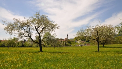 Historische Kulturlandschaftselemente, wie Streuobstwiesen, Wegkreuze, alte Wege und Teiche, prägen seit Jahrhunderten das Erscheinungsbild Bayerns.  (Foto: Thomas Büttner)