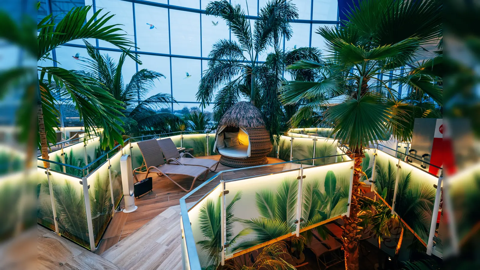 Rückzugsort in lichter Höhe: die neuen Palm Lounges. (Foto: Therme Erding)