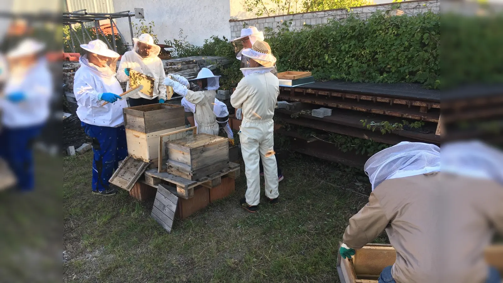 Die Bienenfreunde Erding arbeiten mit und für Honigbienen ebenso wie für Wildbienen. (Foto: Bienenfreunde Erding e.V.)