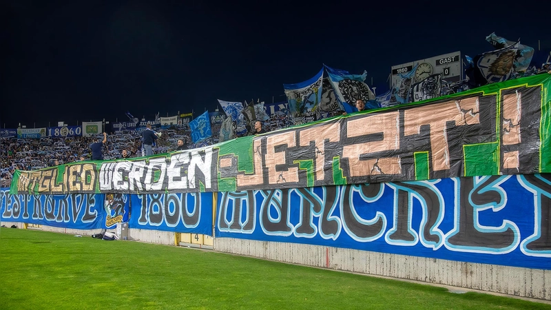 Wieder mitgliederbasiert: TSV 1860 München.  (Foto: Anne Wild)