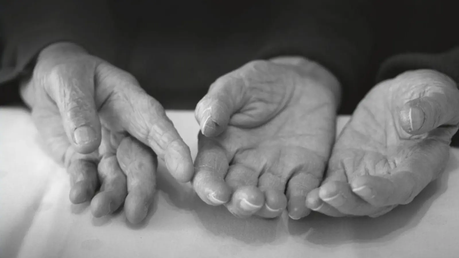 Die Ausstellung befasst sich mit Zitaten in der Zerrissenheit zwischen Liebe, Trauer, Wut und Ohnmacht. (Foto: Karolin Bräg, VG Bild-Kunst)