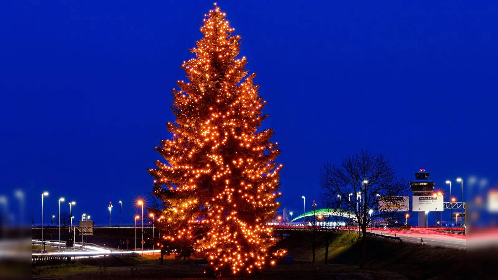 Der Weihnachtsbaum an der Zentralallee stammt 2023 aus dem Landkreis Mühldorf. (Foto: FMG/ATF)
