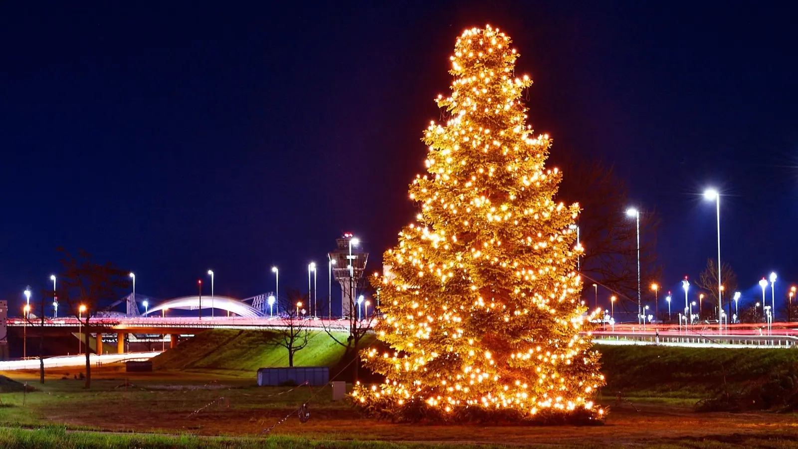 Die stattliche Tanne stammt heuer aus der Gegend. (Foto: FMG/ATF)