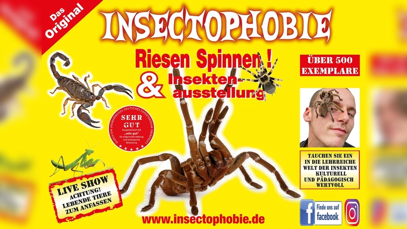 Mit über 500 Exemplaren die größte und Artenreichste Spinnen &amp; Insekten Ausstellung in Deutschland. (Foto: Neigert)