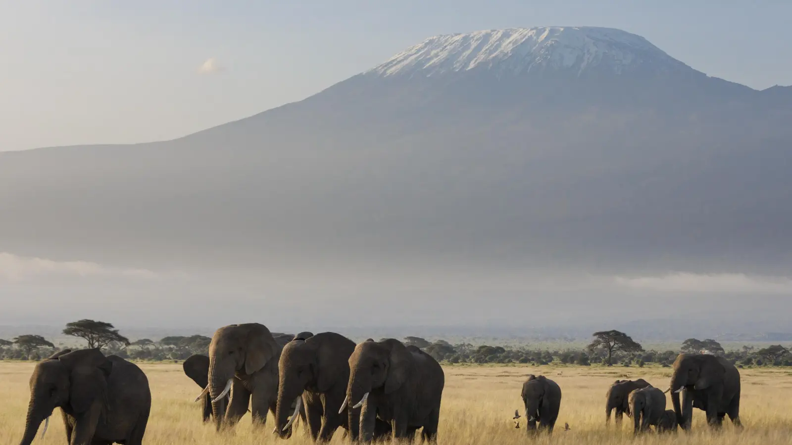 Faszinierende Bilder aus Ostafrika. (Foto: Jutta Ulmer)