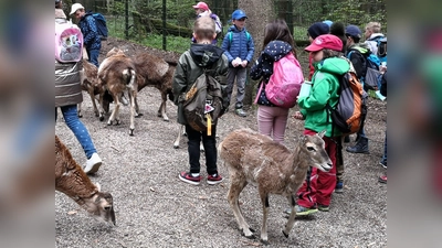 Die Ebersberger Jäger fördern mit 150 Euro den Ausflug von fünf Schulklassen aus dem Landkreis in den Wildpark Poing. (Foto: privat)