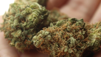 Einer Corona-Party auf der Spur fanden Polizisten Marihuana bei zwei Jugendlichen. (Foto: Pixabay Symbolbild)