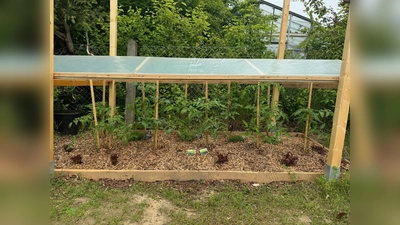 Ab jetzt kommt das Gemüse frisch aus dem Garten. (Foto: Bürgerstiftung im Landkreis Erding)